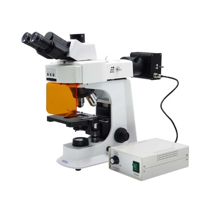 3W LED Coaxial Coarse Fine Focusing Fluorescence Microscope CE / Rohs Certification