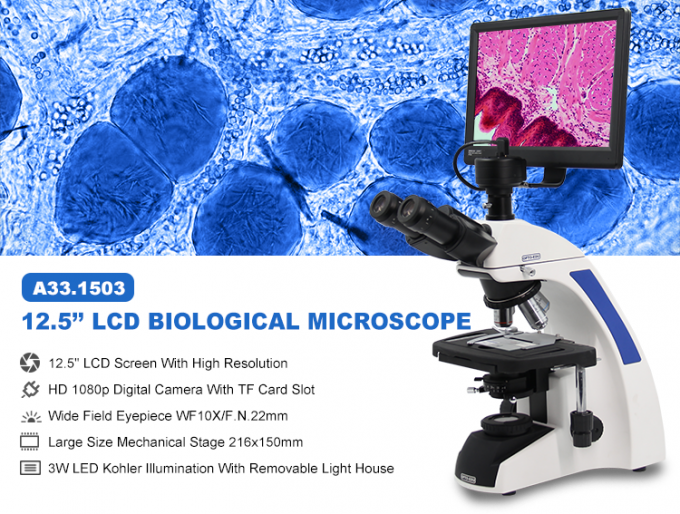 màn hình kỹ thuật số microscopio