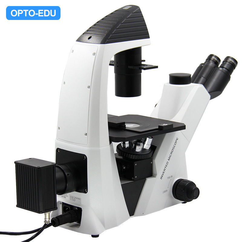 Optical Laboratory Inverted Microscope