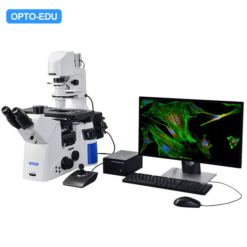 Full Motorized Opto Edu Microscope Semi APO BF / PH / PL / FL / DIC